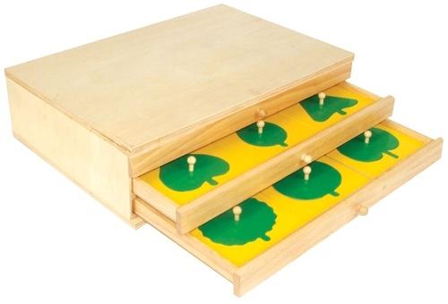 Leaf shapes in a wooden drawer