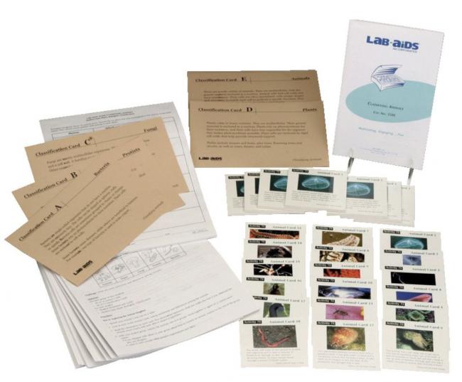 cards and sheets to classify animals